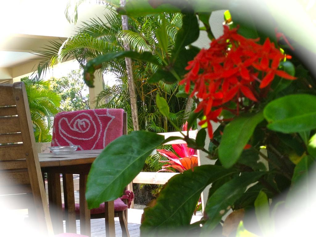La Rose Du Sud Hotel Saint-Joseph Eksteriør billede
